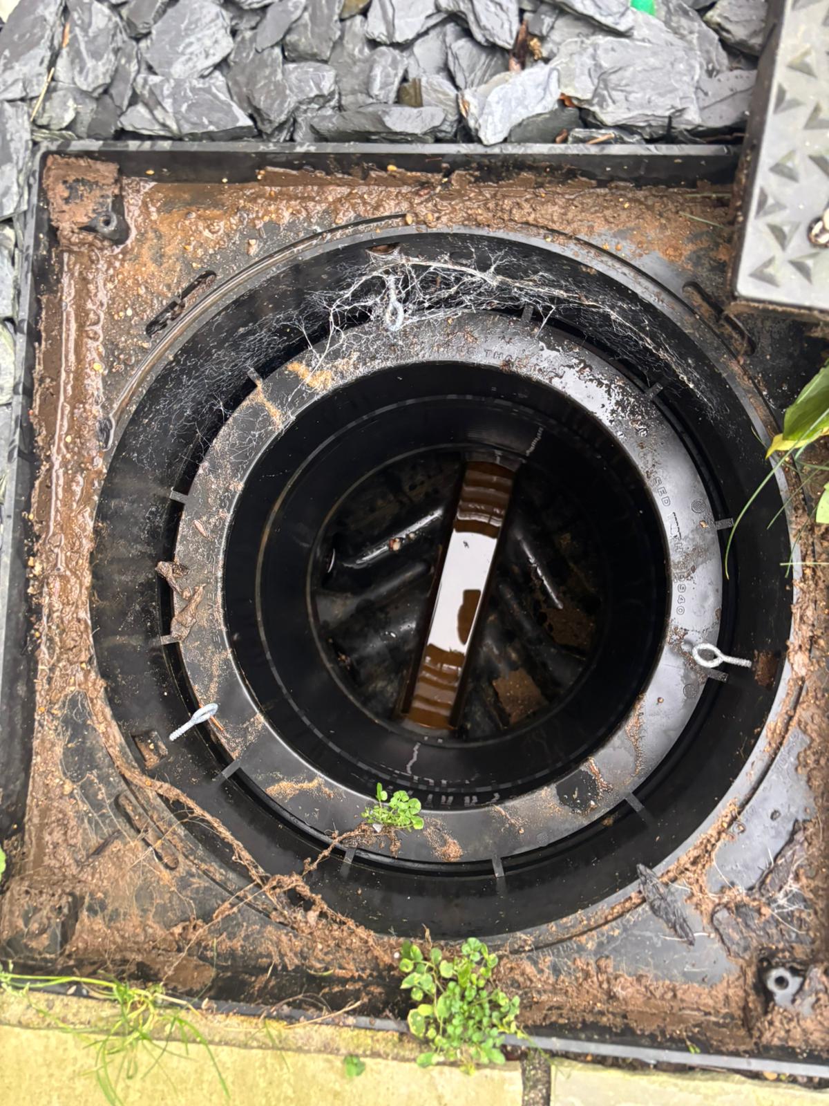 WhatsApp Image 2025 02 03 at 21.20.47 (2)